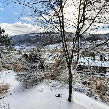 Studiowohnung Schwabenalb Mit Panoramablick Albstadt Exterior foto